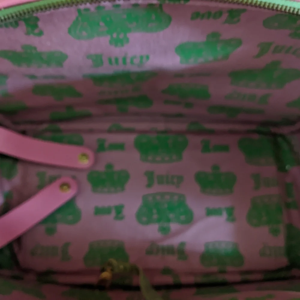 Vintage Juicy Couture Dog Carrier